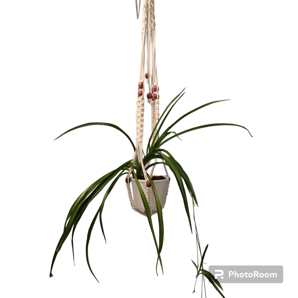 Macrame Plant Hanger NWOT